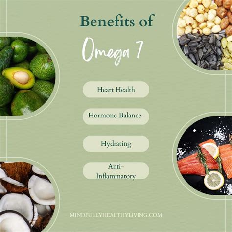 omega-7 benefits and side effects|losing weight with omega 7.